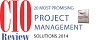 CIO Review Project Management